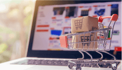 Ecommerce Brands