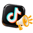 TikTok Ads