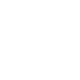 Branding Icon